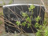 image of grave number 458885